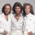 Bee gees