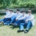 N.flying