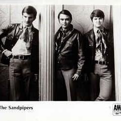 The sandpipers