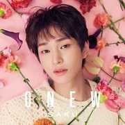 ONEW - 花のように (Hana no You ni) (English Translation) - Onew