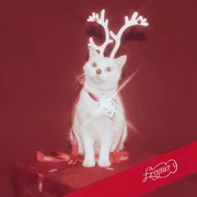 하얀 그리움 (White Memories) - Fromis_9