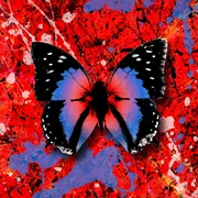 2step (Spanish Remix) ft. Quevedo - Ed Sheeran
