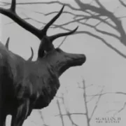 A desolation song - Agalloch