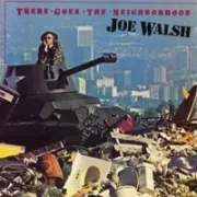 A life of illusion - Joe walsh