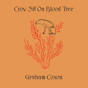 A place for grief - Graham coxon