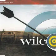 A shot in the arm - Wilco