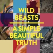 A Simple Beautiful Truth - Wild Beasts