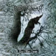 A tale of pagan tongue - Borknagar