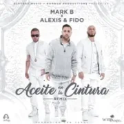 Aceite En La Cintura (Remix) - Mark B