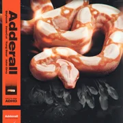 Adderall ft. John Grvy - $kyhook