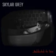 Addicted To Love - Skylar Grey