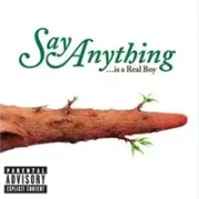 Admit it!!! - Say anything