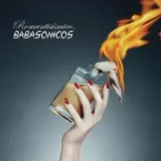 Aduana de Palabras - Babasonicos