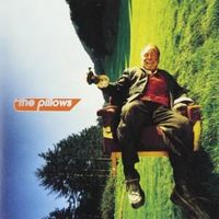 Advice - The pillows