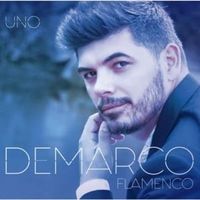 Ahora me doy cuenta - Demarco Flamenco