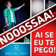 Ai Se Eu Te Pego - Michel Teló