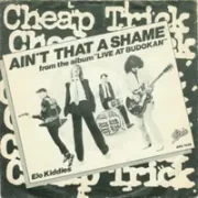 Aint that a shame - Cheap trick