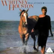 All at once - Whitney houston