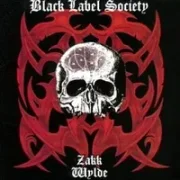 All for you - Black label society