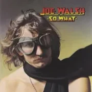 All night laundry mat blues - Joe walsh