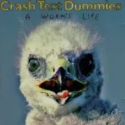 All of this ugly - Crash test dummies