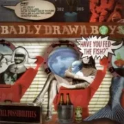 All possibilities - Badly drawn boy