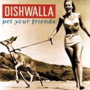 All she can see - Dishwalla