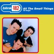 All the small things - Blink 182