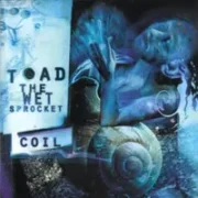 All things in time - Toad the wet sprocket