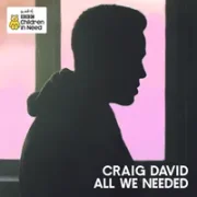 All We Needed - Craig David