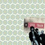 Alley cat - Steel train