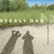 Almost gothic - Steely dan