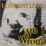 Am i wrong - Love spit love