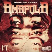 Amapola - Natamontatyson