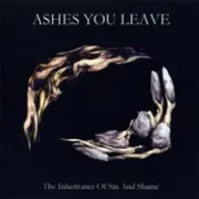 Amber star - Ashes you leave