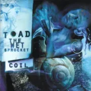 Amnesia - Toad the wet sprocket