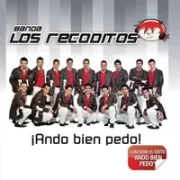 Ando bien pedo - Banda los recoditos