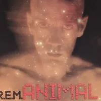 Animal - Rem