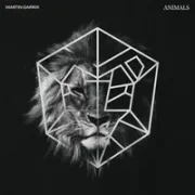 Animals - Martin Garrix