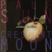 Anniversary song - Cowboy junkies