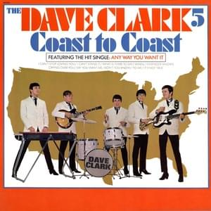 Any way you want it - The dave clark five