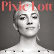 Anybody Else - Pixie Lott