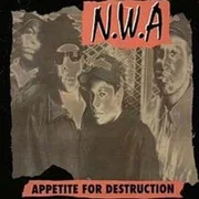 Appetite For Destruction - N.w.a