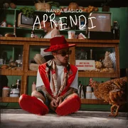 Aprendí - Nanpa Básico