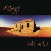 Arctic world - Midnight oil