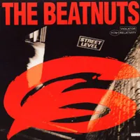 Are you ready - The beatnuts