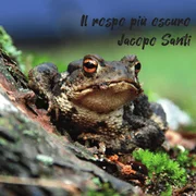Artisti Reguetón - Jacopo Santi