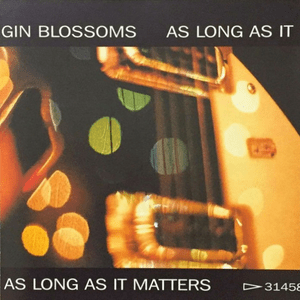 As long as it matters - Gin blossoms