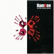 As the music plays the band - Bamboo