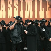 Assimile - Niro